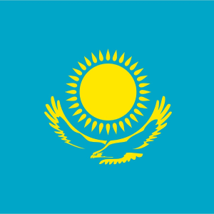 доставка из центральной азии