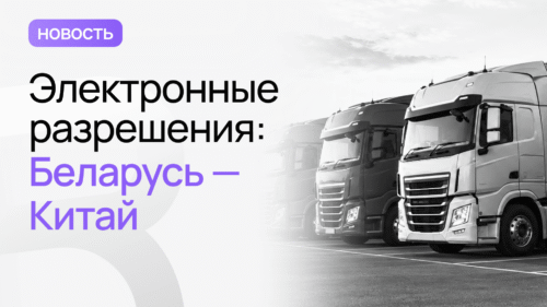 электронные дазволы