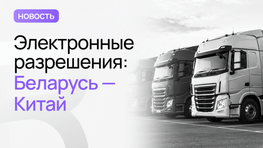 электронные дазволы
